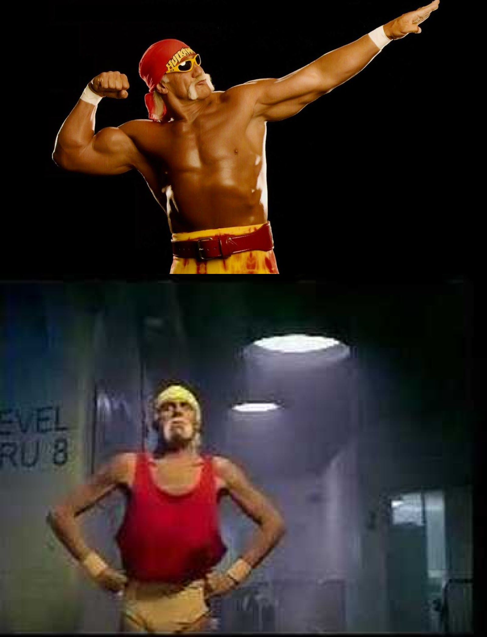 Hulk Hogan's Blank Meme Template