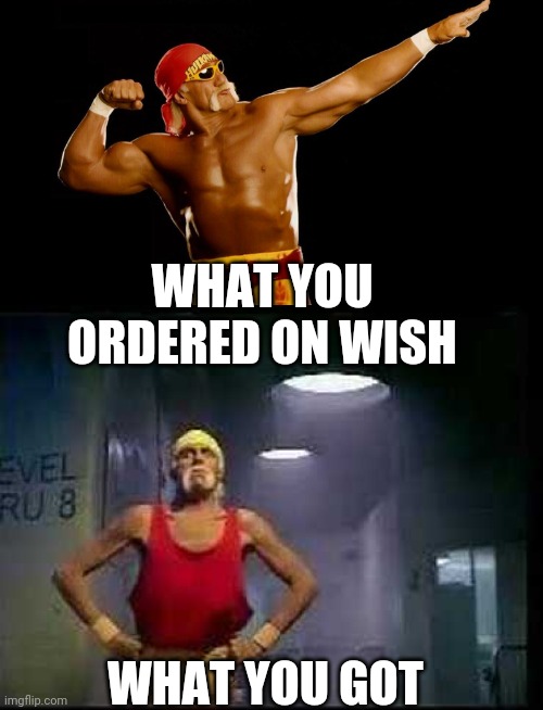 Wish dawt calm, brother! | WHAT YOU ORDERED ON WISH; WHAT YOU GOT | image tagged in wrestling,pro wrestling,wwe,wish | made w/ Imgflip meme maker