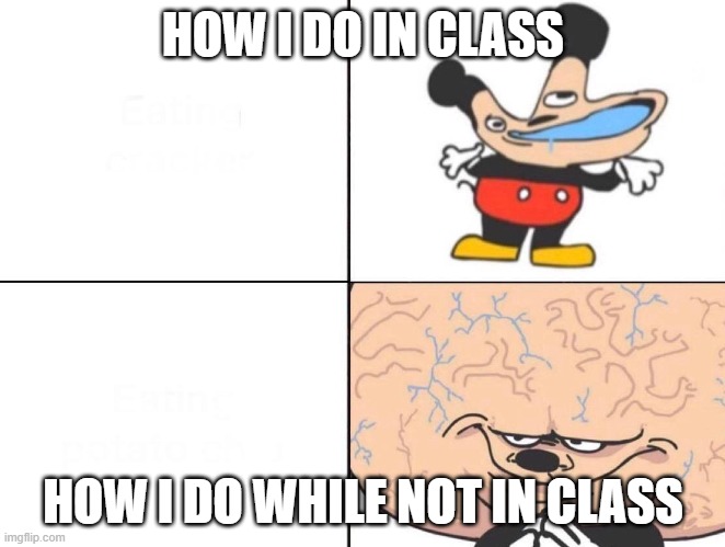 mokey |  HOW I DO IN CLASS; HOW I DO WHILE NOT IN CLASS | image tagged in big brain mokey | made w/ Imgflip meme maker
