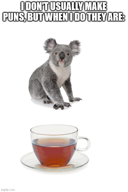 Koala-tea :) | I DON'T USUALLY MAKE PUNS, BUT WHEN I DO THEY ARE: | image tagged in blank white template | made w/ Imgflip meme maker