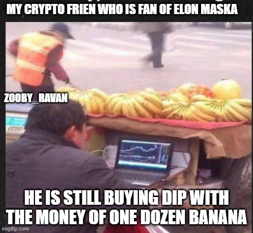 crypto guy | MY CRYPTO FRIEN WHO IS FAN OF ELON MASKA; ZOOBY_RAVAN; HE IS STILL BUYING DIP WITH THE MONEY OF ONE DOZEN BANANA | image tagged in memes,funny | made w/ Imgflip meme maker