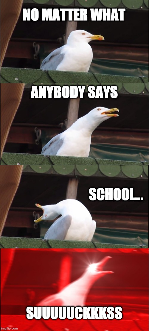 I really hate school | NO MATTER WHAT; ANYBODY SAYS; SCHOOL... SUUUUUCKKKSS | image tagged in memes,inhaling seagull | made w/ Imgflip meme maker