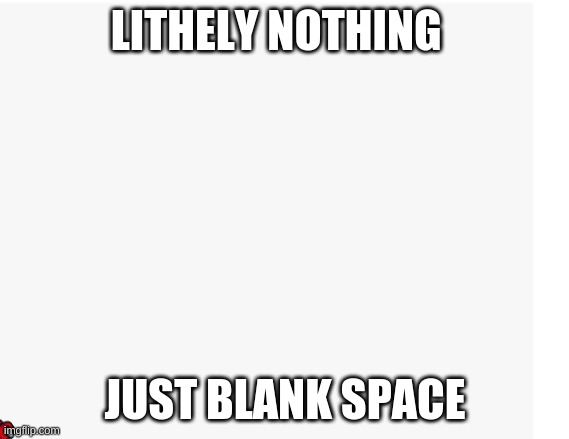 nothing lol | LITHELY NOTHING; JUST BLANK SPACE | image tagged in wow look nothing | made w/ Imgflip meme maker
