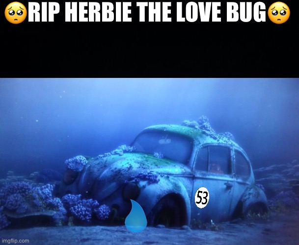 🥺RIP HERBIE THE LOVE BUG🥺 | image tagged in black background | made w/ Imgflip meme maker