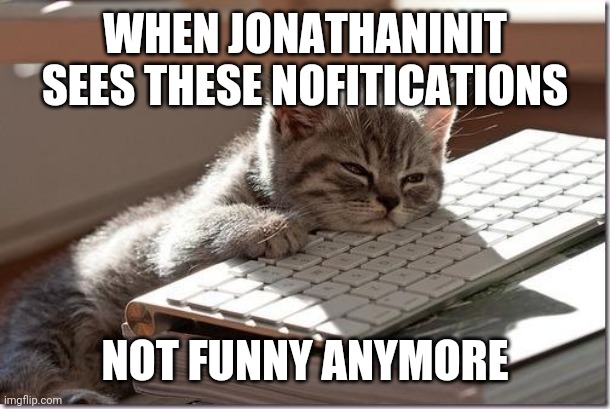 Bored Keyboard Cat | WHEN JONATHANINIT SEES THESE NOFITICATIONS NOT FUNNY ANYMORE | image tagged in bored keyboard cat | made w/ Imgflip meme maker