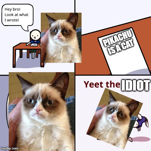 Yeet the child |  PIKACHU IS A CAT; IDIOT | image tagged in yeet the child | made w/ Imgflip meme maker