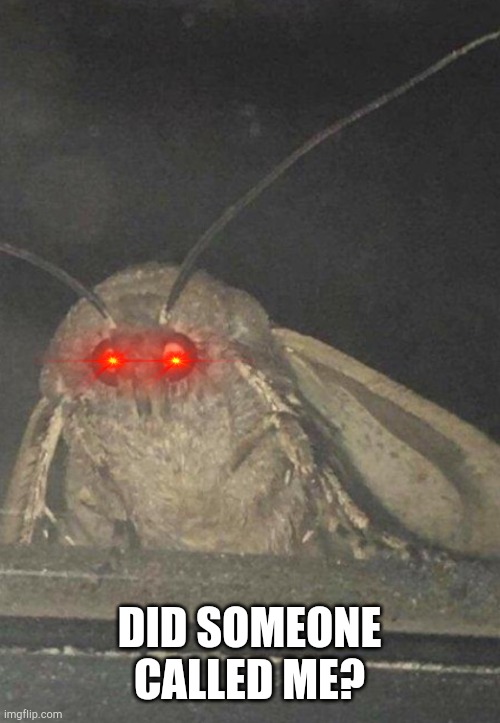Moth | DID SOMEONE CALLED ME? | image tagged in moth | made w/ Imgflip meme maker