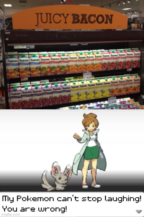 I'm pretty sure that it's not bacon | image tagged in my pokemon can't stop laughing you are wrong,funny,memes,funny memes,gifs,not really a gif | made w/ Imgflip meme maker