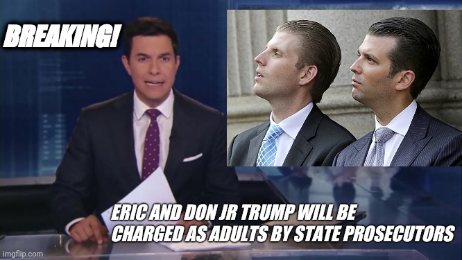 Breaking! Eric and Don Jr will be charged as Adults by State Prosecutors | BREAKING! ERIC AND DON JR TRUMP WILL BE CHARGED AS ADULTS BY STATE PROSECUTORS | image tagged in capitol hill,president trump | made w/ Imgflip meme maker