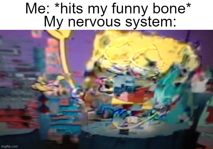 Ow. | Me: *hits my funny bone*; My nervous system: | image tagged in memes | made w/ Imgflip meme maker