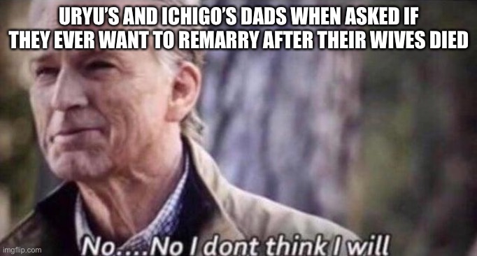 In Bleach, widowed fathers stay widowed | URYU’S AND ICHIGO’S DADS WHEN ASKED IF THEY EVER WANT TO REMARRY AFTER THEIR WIVES DIED | image tagged in no i don't think i will | made w/ Imgflip meme maker