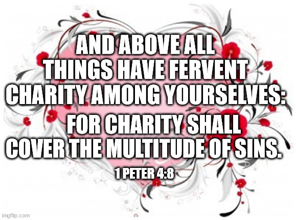 AND ABOVE ALL THINGS HAVE FERVENT CHARITY AMONG YOURSELVES:; FOR CHARITY SHALL COVER THE MULTITUDE OF SINS. 1 PETER 4:8 | made w/ Imgflip meme maker