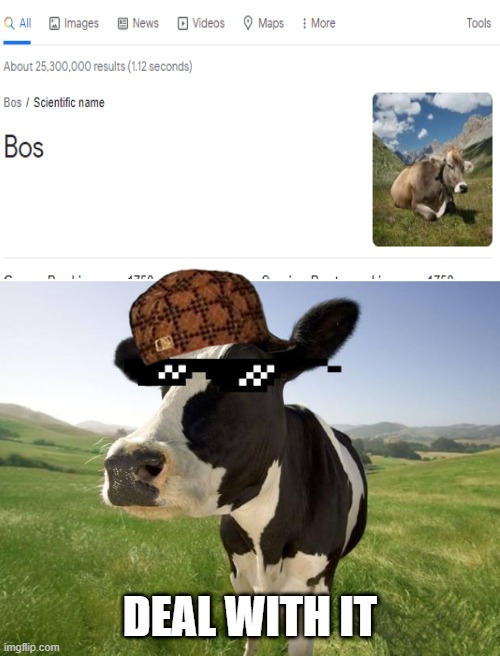 This is the scientific name for a genus of a cow- | DEAL WITH IT | image tagged in cow | made w/ Imgflip meme maker