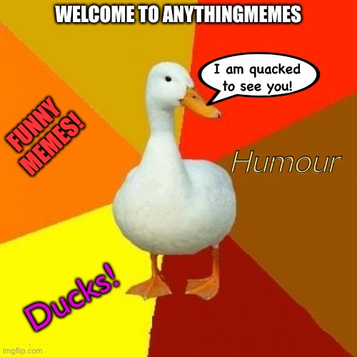 Welcome! | WELCOME TO ANYTHINGMEMES; I am quacked to see you! FUNNY MEMES! Humour; Ducks! | image tagged in memes,tech impaired duck,welcome | made w/ Imgflip meme maker