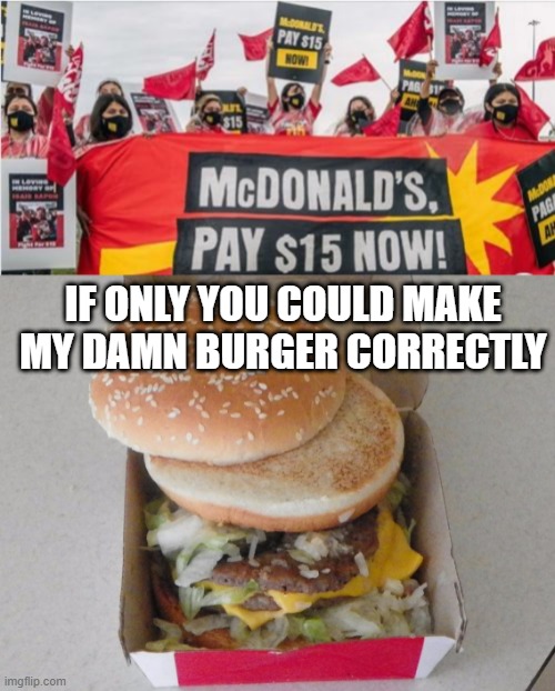 That's a No | IF ONLY YOU COULD MAKE MY DAMN BURGER CORRECTLY | image tagged in food fail | made w/ Imgflip meme maker