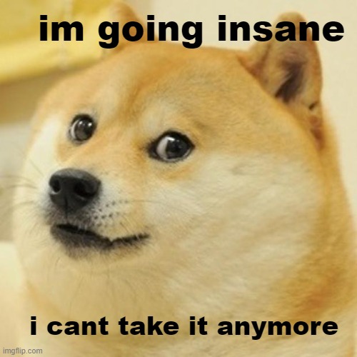 Doge Meme | im going insane; i cant take it anymore | image tagged in memes,doge | made w/ Imgflip meme maker