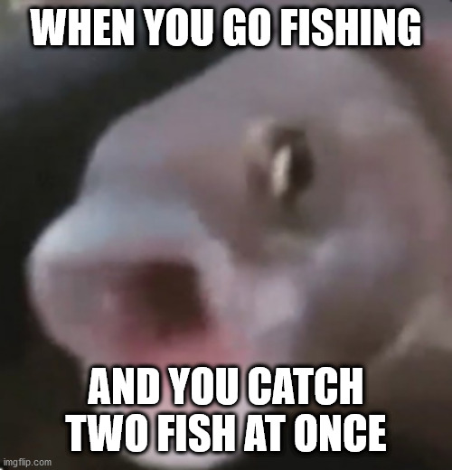 fishing gud | WHEN YOU GO FISHING; AND YOU CATCH TWO FISH AT ONCE | image tagged in poggers fish | made w/ Imgflip meme maker