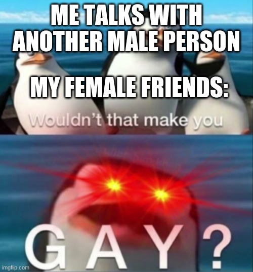 it always happens (im still gay tho) | ME TALKS WITH ANOTHER MALE PERSON; MY FEMALE FRIENDS: | made w/ Imgflip meme maker