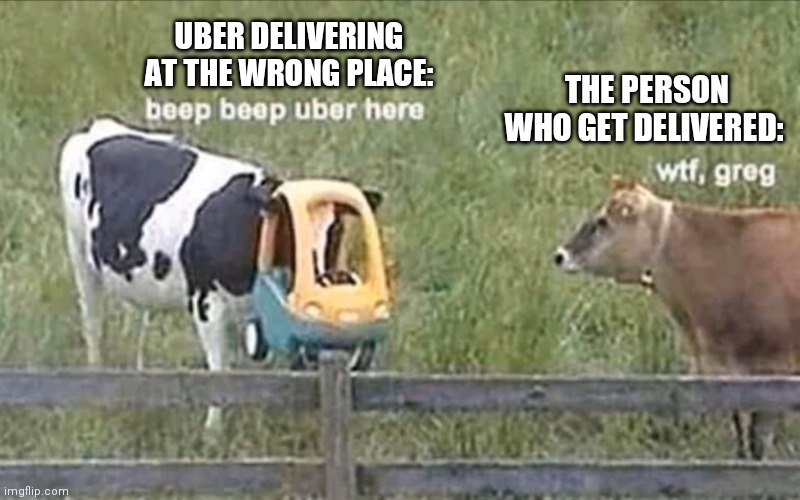 Uber delivery | UBER DELIVERING AT THE WRONG PLACE:; THE PERSON WHO GET DELIVERED: | image tagged in cow,uber | made w/ Imgflip meme maker
