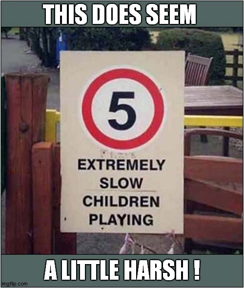 A Very Specific Politically Incorrect Sign | THIS DOES SEEM; A LITTLE HARSH ! | image tagged in politically incorrect,sign | made w/ Imgflip meme maker