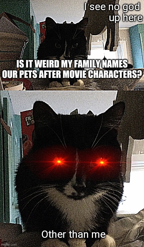 I see no god up here other than me | IS IT WEIRD MY FAMILY NAMES OUR PETS AFTER MOVIE CHARACTERS? | image tagged in i see no god up here other than me | made w/ Imgflip meme maker
