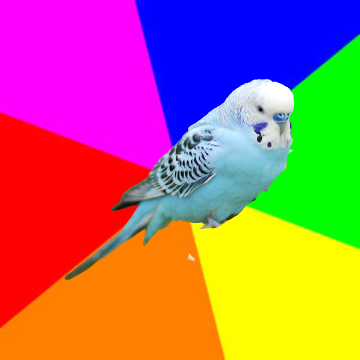 Budgie Meme Blank Meme Template