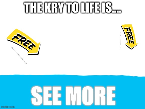 hehe | THE KRY TO LIFE IS.... SEE MORE | image tagged in blank white template | made w/ Imgflip meme maker