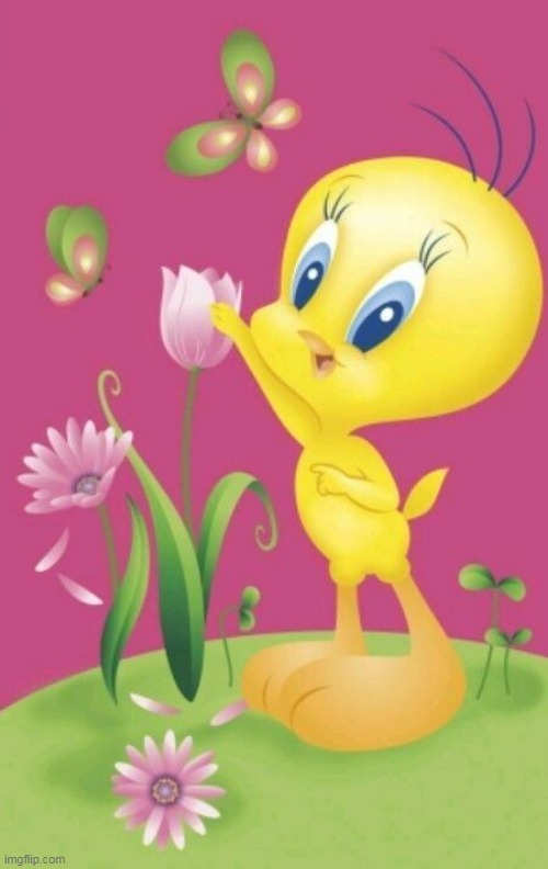 tweety /piolin | image tagged in looney tunes,tweety bird,piolin,piolines para tias | made w/ Imgflip meme maker