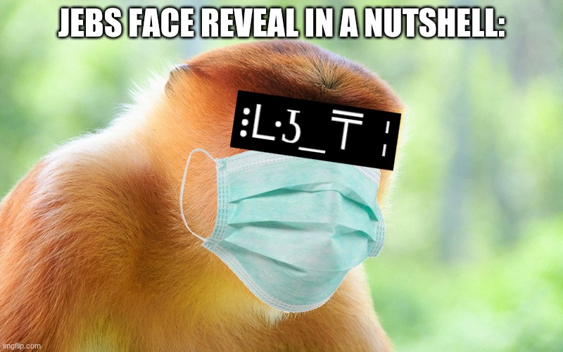 JEBS FACE REVEAL IN A NUTSHELL: | made w/ Imgflip meme maker