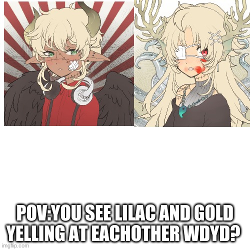 They are siblings sorta,Gold is adopted | POV:YOU SEE LILAC AND GOLD YELLING AT EACHOTHER WDYD? | image tagged in idk,thought this would be fun,blood for the blood god | made w/ Imgflip meme maker