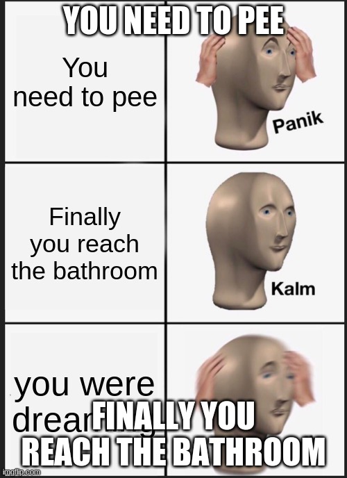 Panik meme | YOU NEED TO PEE; FINALLY YOU REACH THE BATHROOM | image tagged in ha ha tags go brr | made w/ Imgflip meme maker