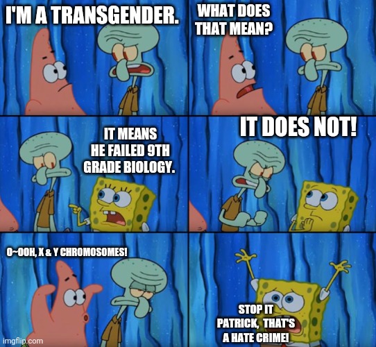 Stop it Patrick, you're scaring him! (Correct text boxes) | WHAT DOES THAT MEAN? I'M A TRANSGENDER. IT DOES NOT! IT MEANS HE FAILED 9TH GRADE BIOLOGY. O~OOH, X & Y CHROMOSOMES! STOP IT PATRICK,  THAT'S A HATE CRIME! | image tagged in stop it patrick you're scaring him correct text boxes,transgender,memes,politics | made w/ Imgflip meme maker