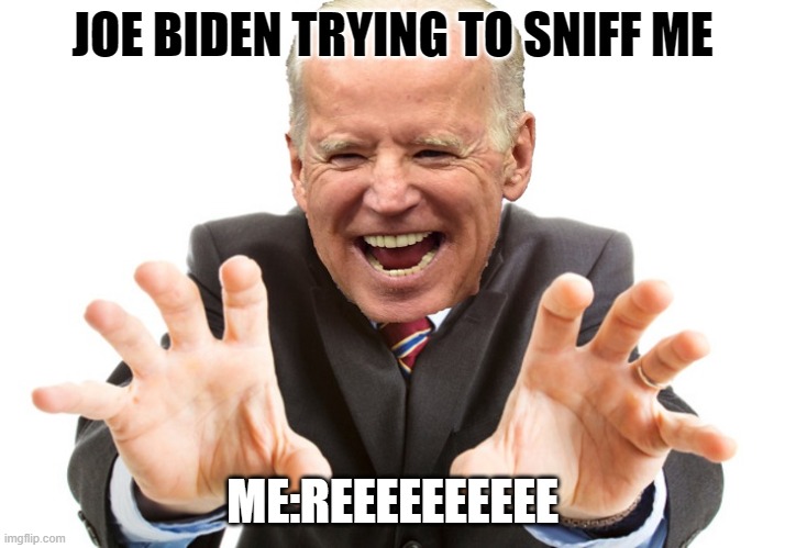 Joe Biden | JOE BIDEN TRYING TO SNIFF ME; ME:REEEEEEEEEE | image tagged in joe biden | made w/ Imgflip meme maker