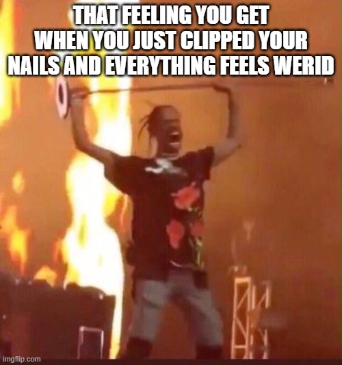 Travis Scott  | THAT FEELING YOU GET WHEN YOU JUST CLIPPED YOUR NAILS AND EVERYTHING FEELS WERID | image tagged in travis scott | made w/ Imgflip meme maker