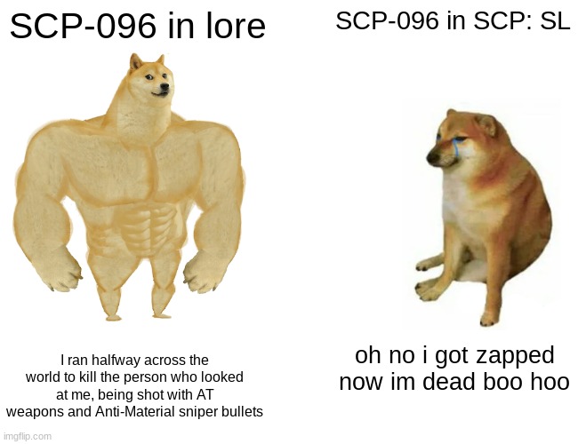 Buff Doge vs. Cheems | SCP-096 in lore; SCP-096 in SCP: SL; I ran halfway across the world to kill the person who looked at me, being shot with AT weapons and Anti-Material sniper bullets; oh no i got zapped now im dead boo hoo | image tagged in memes,buff doge vs cheems | made w/ Imgflip meme maker