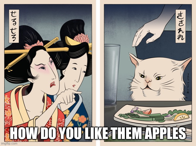 Cat yelling | HOW DO YOU LIKE THEM APPLES | image tagged in woman yelling at cat | made w/ Imgflip meme maker