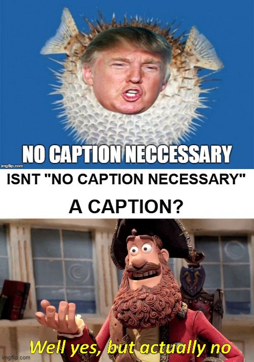 ISNT "NO CAPTION NECESSARY" A CAPTION? | image tagged in memes,well yes but actually no | made w/ Imgflip meme maker