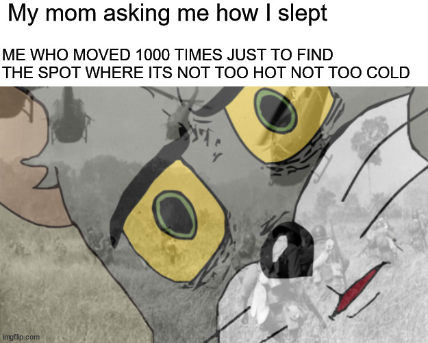 I remember the coldness  and my head so hot |  My mom asking me how I slept; ME WHO MOVED 1000 TIMES JUST TO FIND THE SPOT WHERE ITS NOT TOO HOT NOT TOO COLD | image tagged in unsettled tom vietnam | made w/ Imgflip meme maker