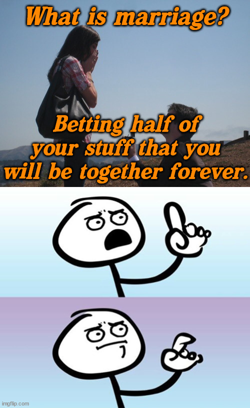 It is the ultimate way to gamble your stuff and your life. |  What is marriage? Betting half of your stuff that you will be together forever. | image tagged in marriage proposal,can't argue with that / technically not wrong,the gambler,so you're saying there's a chance | made w/ Imgflip meme maker