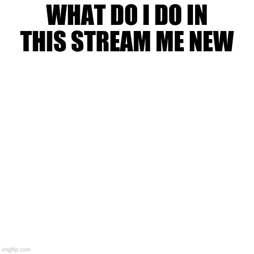 what i do | WHAT DO I DO IN THIS STREAM ME NEW | image tagged in memes,blank transparent square | made w/ Imgflip meme maker