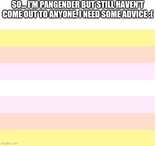 pls help :( | SO... I'M PANGENDER BUT STILL HAVEN'T COME OUT TO ANYONE. I NEED SOME ADVICE :( | image tagged in blank white template,help me,please,reality is often dissapointing | made w/ Imgflip meme maker