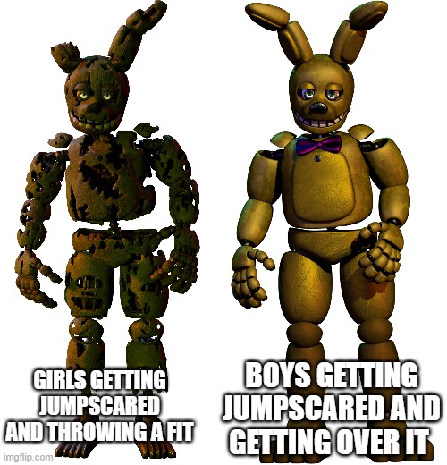 Good Spring Bad Spring My new custom template! | BOYS GETTING JUMPSCARED AND GETTING OVER IT; GIRLS GETTING JUMPSCARED AND THROWING A FIT | image tagged in good spring bad spring | made w/ Imgflip meme maker