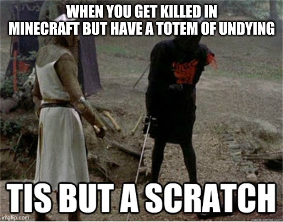 lol | WHEN YOU GET KILLED IN MINECRAFT BUT HAVE A TOTEM OF UNDYING | image tagged in tis but a scratch | made w/ Imgflip meme maker