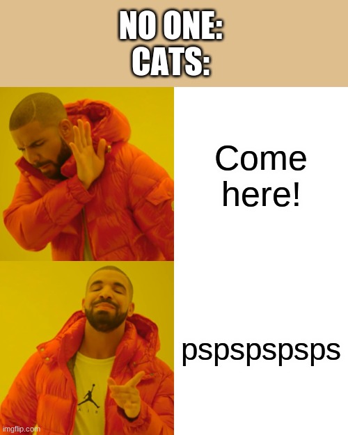 imagine only being called by owner saying pspspspsps | NO ONE:
CATS:; Come here! pspspspsps | image tagged in memes,drake hotline bling | made w/ Imgflip meme maker