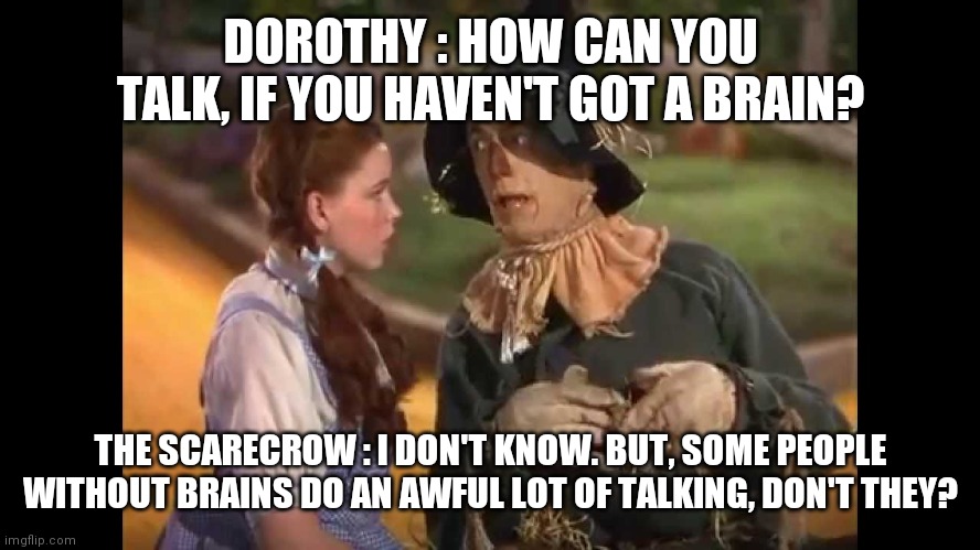 All Talk No Brains | DOROTHY : HOW CAN YOU TALK, IF YOU HAVEN'T GOT A BRAIN? THE SCARECROW : I DON'T KNOW. BUT, SOME PEOPLE WITHOUT BRAINS DO AN AWFUL LOT OF TALKING, DON'T THEY? | image tagged in dorothy and the scarecrow | made w/ Imgflip meme maker