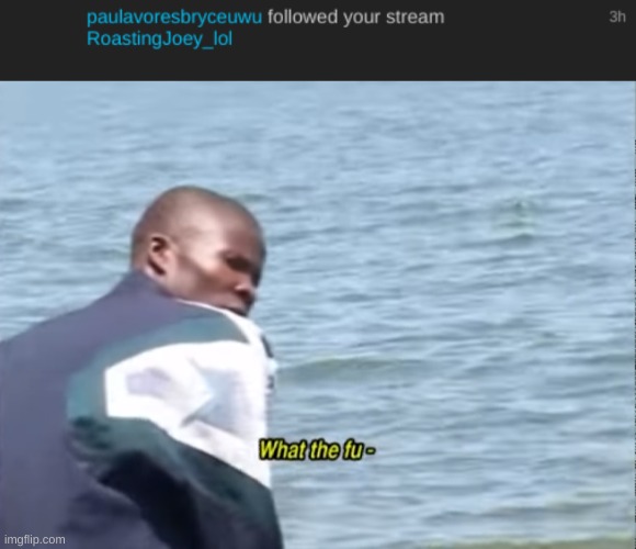 Wot | image tagged in what the fu- | made w/ Imgflip meme maker