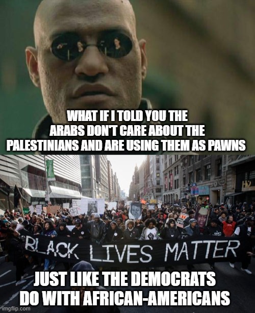Pawns | WHAT IF I TOLD YOU THE ARABS DON'T CARE ABOUT THE PALESTINIANS AND ARE USING THEM AS PAWNS; JUST LIKE THE DEMOCRATS DO WITH AFRICAN-AMERICANS | image tagged in memes,matrix morpheus,black lives matter | made w/ Imgflip meme maker