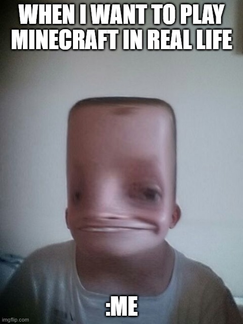When Your Favourite game becomes Mincraft |  WHEN I WANT TO PLAY MINECRAFT IN REAL LIFE; :ME | image tagged in when your favourite game becomes mincraft | made w/ Imgflip meme maker