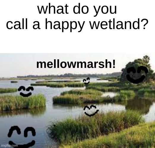 dirty water with leaf germs | what do you call a happy wetland? mellowmarsh! | image tagged in memes,funny,haha,hahaha,swamp,too many tags | made w/ Imgflip meme maker