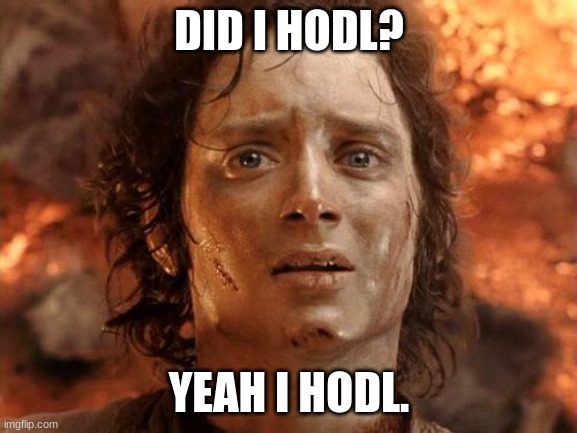When you HODL so good | DID I HODL? YEAH I HODL. | image tagged in it's finally over,doge,dogecoin,cryptocurrency,crypto,hodl | made w/ Imgflip meme maker